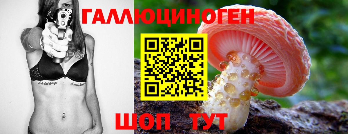 Псилоцибиновые грибы Psilocybe Спасск-Дальний
