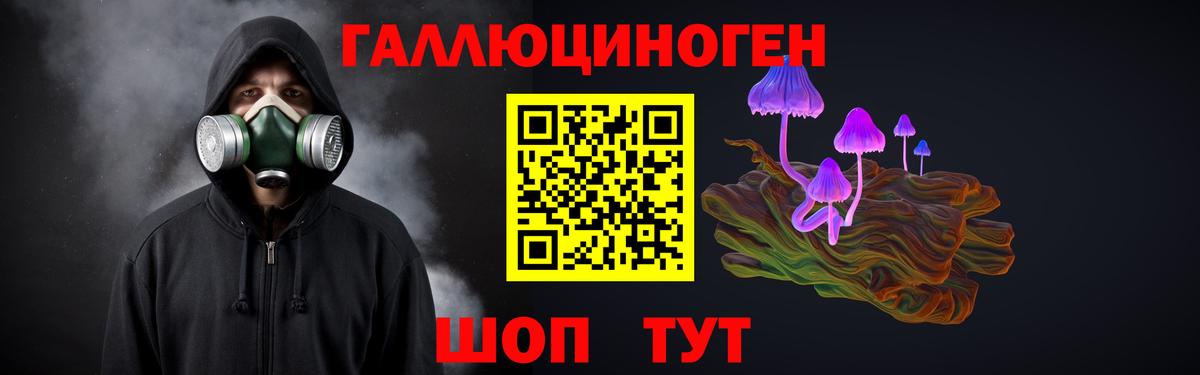 Псилоцибиновые грибы ЛСД  Псилоцибиновые грибы мухоморы  Спасск-Дальний  где купить   Вход с VPN 